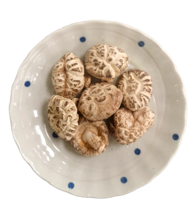Japanese premium white flower mushroom (227g/box)