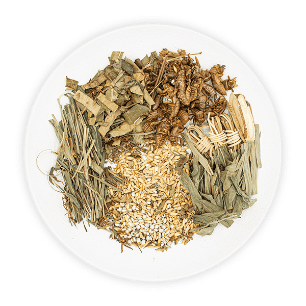 小兒七星茶包