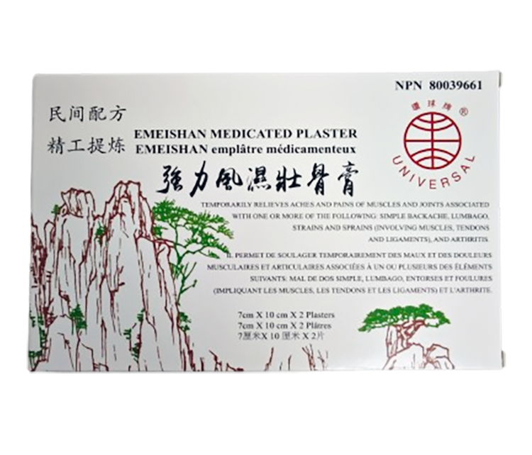 環球牌-強力風濕壯骨膏(2片/盒)