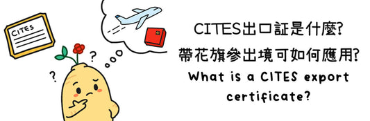 CITES 出口証是什麼? 如何應用CITES出口証?