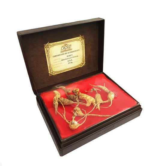 美國野山參皮禮盒－900/兩（37.5g/盒）