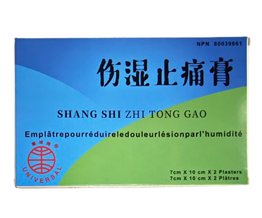 環球牌－傷濕止痛膏（2片/盒）