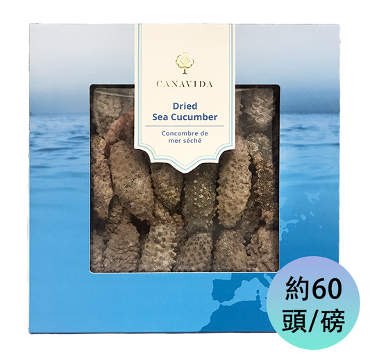 南美肥刺海參 - 小（454g/盒）