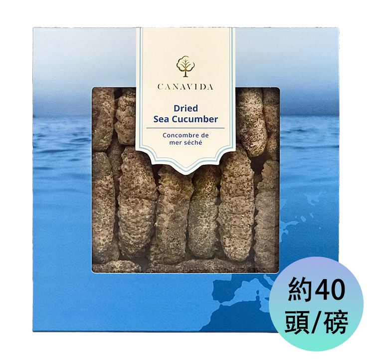 南美肥刺海參 - 中（454g/盒）