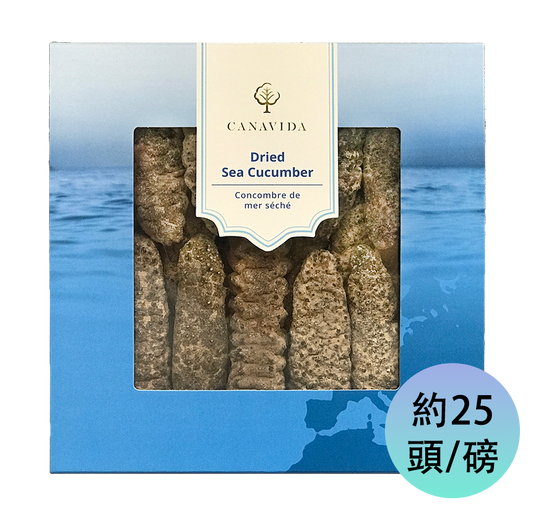 南美肥刺海參 - 大（454g/盒）