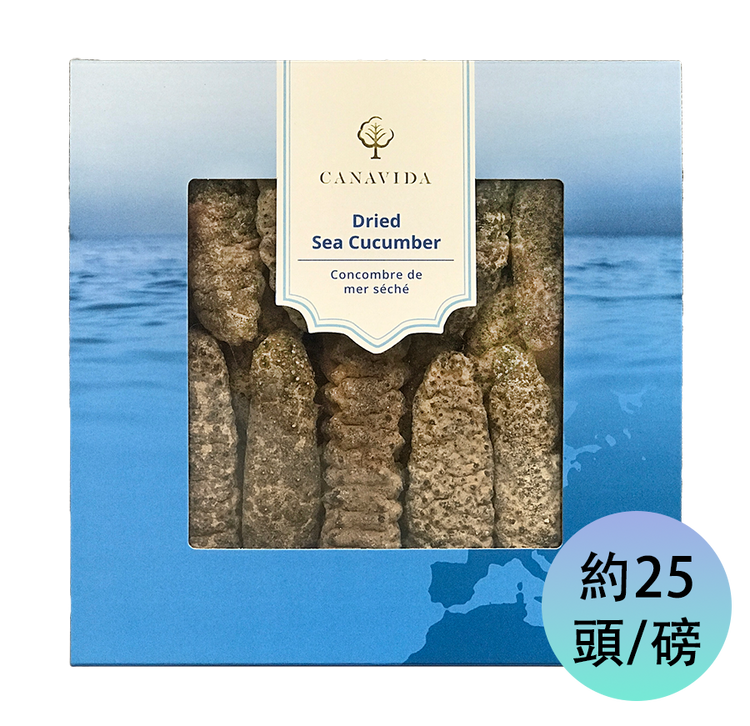 南美肥刺海參 - 大（454g/盒）