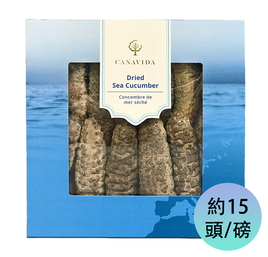 南美肥刺海參 - 特大（454g/盒）