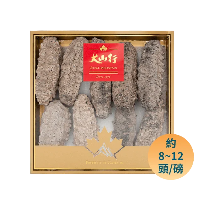 墨西哥刺參－特大（454g/盒）