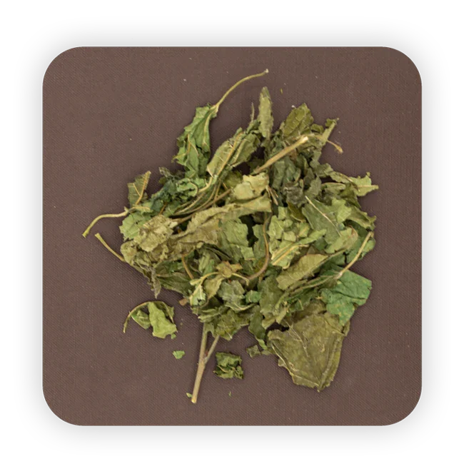 桑葉（37.5g/袋）